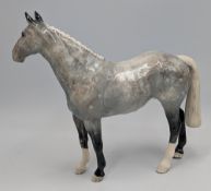 Beswick Grey Roan Hunter Horse H260, limited edition in good condition, with inspector label, #