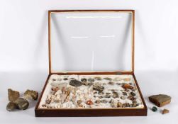 A Late 19th/Early20th Century Mahogany Tabletop Specimen Cabinet Housing a Collection of Natural His