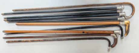 Ten silver mounted walking sticks to include two of bamboo, one with horn handle, ebonised examples,