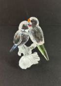 Swarovski Crystal Glass, Budgies, boxed.