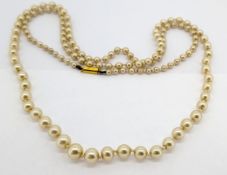 A single row of pearls on a 9ct yellow gold clasp.