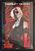 Two Harley Quinn posters, framed, overall size approx 95cm x 66cm.