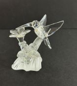 Swarovski Crystal Glass, Hummingbird, boxed.