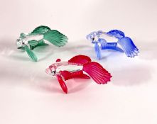 Swarovski Crystal Glass, Siamese Fighting Fish, Green, Red and Blue, boxed.