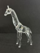 Swarovski Crystal Glass, Giraffe Baby, boxed.