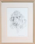 Robert Lenkiewicz (1941-2002), pencil sketch of a black poodle, 'Sam'