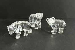 Swarovski Crystal Glass, Bear Brother, Grizzly Cub and another, all boxed.
