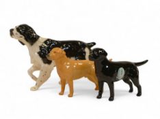 Beswick dogs to include Golden Labrador, Black Labrador and Springer Spaniel, boxed. (3)