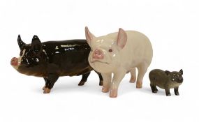 Beswick, compromising Berkshire Boar, white Boar pigs and Vietnamese piglet. (3)