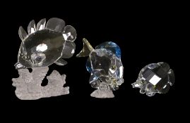 Swarovski Three Crystal Fish to include:- Small Butterfly Fish(670819) retired 2007, designed by
