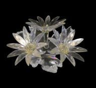 Swarovski Crystal Maxi arrangement flower, by Michael Stamey, with original box (252976). (H: 8cm)