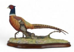 Border Fine Arts Autumn Glory (Pheasant), model no. by Russell Willis , limited edition no 771 of