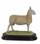 Border Fine Arts Border Leicester Tup, model no.L163 by Ray Ayres, limited edition no.391 of 950. (