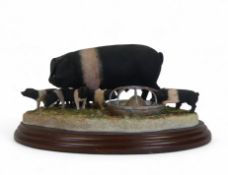 Border Fine Arts Never Satisfied (Wessex Saddleback), model no.B0442B by Kirsty Armstrong. (L: 21cm)