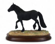 Border Fine Arts Cumbrian Fell Pony, model no.B0812 by Kirsty Armstrong, limited edition no.353 of
