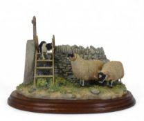 Border Fine Arts Surprise Element (Border Collie and Sheep), model no.B0089 by Ray Ayres. (H: