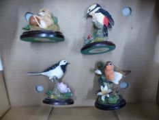 Group of four Country Artists bird and animal figures: Robin, Great Spotted Woodpecker, Wagtail
