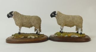 Castle Sculptures Derbyshire Gritstone Rams, by Jean Fowler, one limited edition no.27 of 250,
