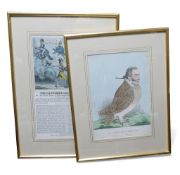 Two framed hand coloured etching's, titled 'The Hampshire Green Bag Opened,' and 'An Emblem of