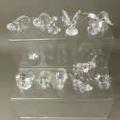 A collection of boxed Swarovski crystal animal figures, including Beaver, Hippo, Aligator, Fawn,