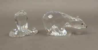 Swarovski Polar Bear 7649 085 000 together with Cobra 7603 000 003, both with original boxes (2).