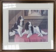 A selection of framed prints mounted behind glass depicting King Charles Cavalier's. Largest: 64cm