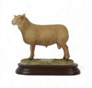 Border Fine Arts Charollais Ram, model no.B0774 by Ray Ayres, limited edition no.154 of 750. (H: