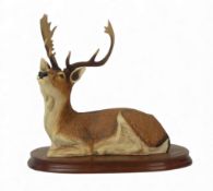 Border Fine Arts Fallow Buck, model no.B0329 by Jack Crewdson. (H: 33cm) COLLECTION OR COURIER ONLY