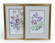 Jenny Fowell, A pair of signed limited edition prints of flowers, in gilt frames, overall 52 x