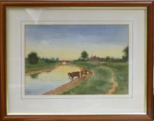 Watercolour framed behind glass depicting cows standing and drinking on the bank of a canal, with