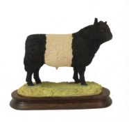 Border Fine Arts Galloway Bull, model no.A4891 by Ray Ayres, limited edition no.195 of 850, with