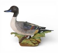 Crown Staffordshire 'Wildfowl PinTail' Duck by Peter Scott. L/E 166/250. Measures:- 23cm high x 32cm