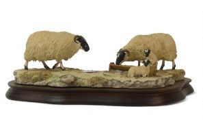 Border Fine Arts Early Lambs, Late Snow, model no.113 by Ray Ayres. (L: 30)