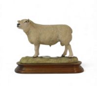 Border Fine Arts Texel Ram (style 1), model no.L108 by Ray Ayres, limited edition no.448 of 950. (H: