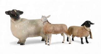 Border Fine Arts, Suffolk Tup A4587 and Blue Faced Leicester Tup A4589, together with large