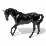 Beswick prototype model of a horse in black gloss. From the collection of Bernard Street who was
