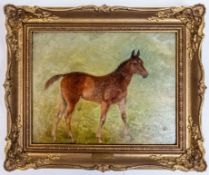 George Thomas Rope (1845-1929) oil painting on wooden panel of a foal, 21 x 26cm.