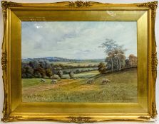 George OYSTON (1861-1937), watercolour, sheep in landscape 