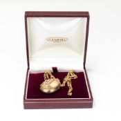 9ct yellow & white Gold round locket and chain, 4.9g.