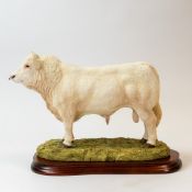 Border Fine Arts Charolais Bull, model no.B0587 by Jack Crewdson, limited edition no.894 of 950,