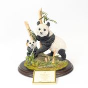 Country Artists animal figure. Panda with Cub eating bamboo, 'Sheltered Seclusion' L/E 134/850,