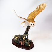 Border Fine Arts 'Silent Wings' (Barn Owl), model no.B0746 by Richard Roberts, limited edition no.