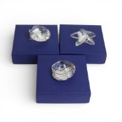 Swarovski selection of sea themed crystal creatures to include Starfish (679350), Scallop (