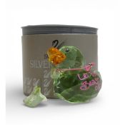 Swarovski Crystal Crocodile Duck 'Let The Beast Out' (1143324) Part of the retired Happy Duck