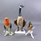 Three Goebel bird studies, a Canada Goose, Robin and a Common Kingfisher (tip of beak a/f) height of