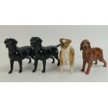Beswick to include two black Labrador's, Irish Red Setter and Boxer dog figurines. (H: 14.5cm) (4)