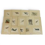 A collection of Wyman & Sons Limited engravings featuring various species of birds. (H: 11cm x W: