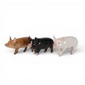 Beswick, rare breed pigs Middlewhite Boar 4117, Berkshire Boar 4118 and Tamworth Sow. (3)