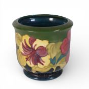 Moorcroft planter in the Hibiscus pattern on green ground, height 13cm.