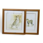 Sue Dickinson 'Wildlife Art' Prints framed in oak style frames & mounted behind glass 'Cheetah-